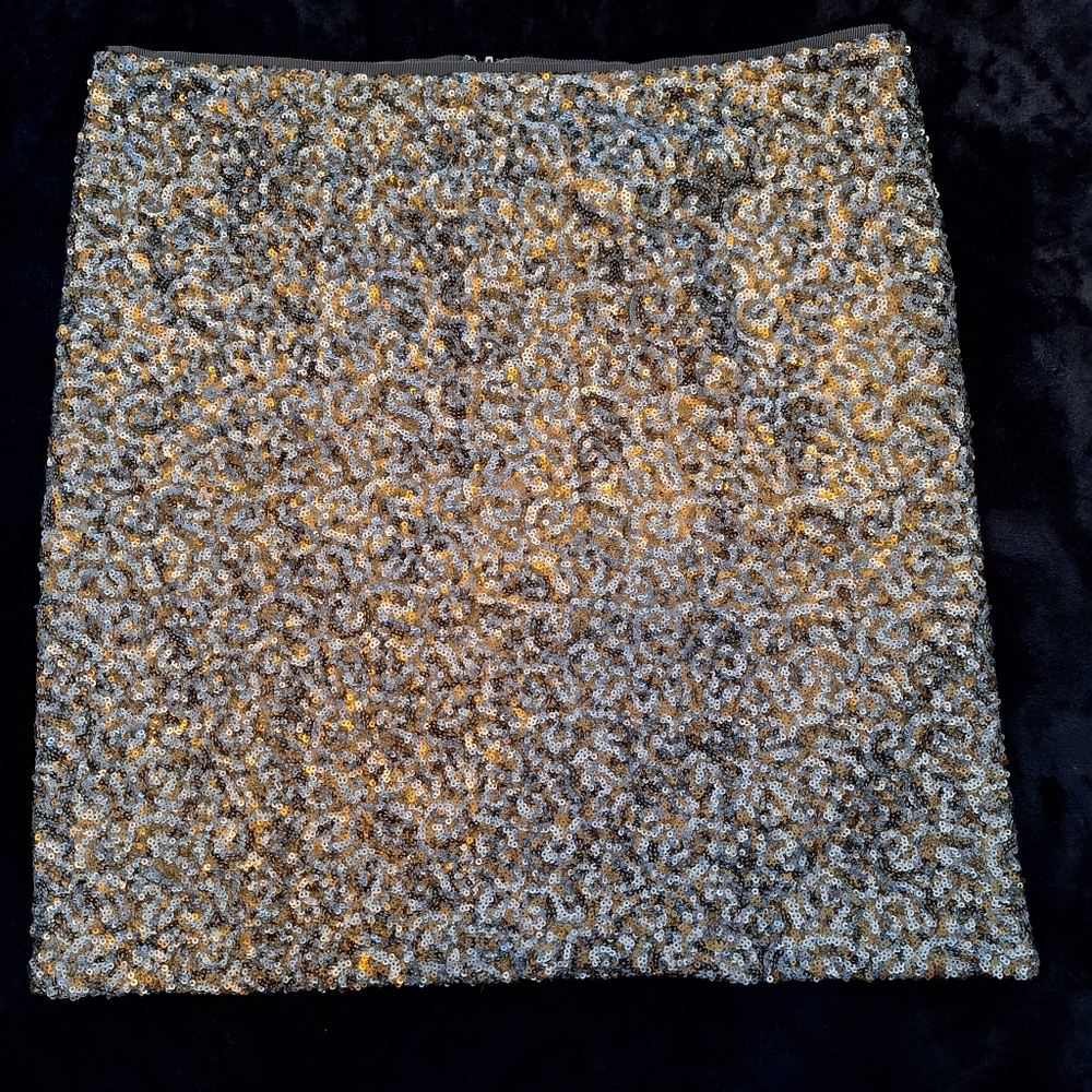 RW & Co Sequined Mini Skirt Size 10